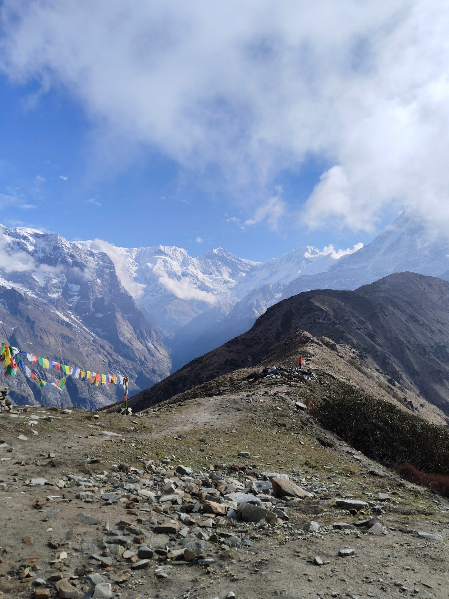 Mardi Himal Budget Trek- 5 Days.  (TR30)