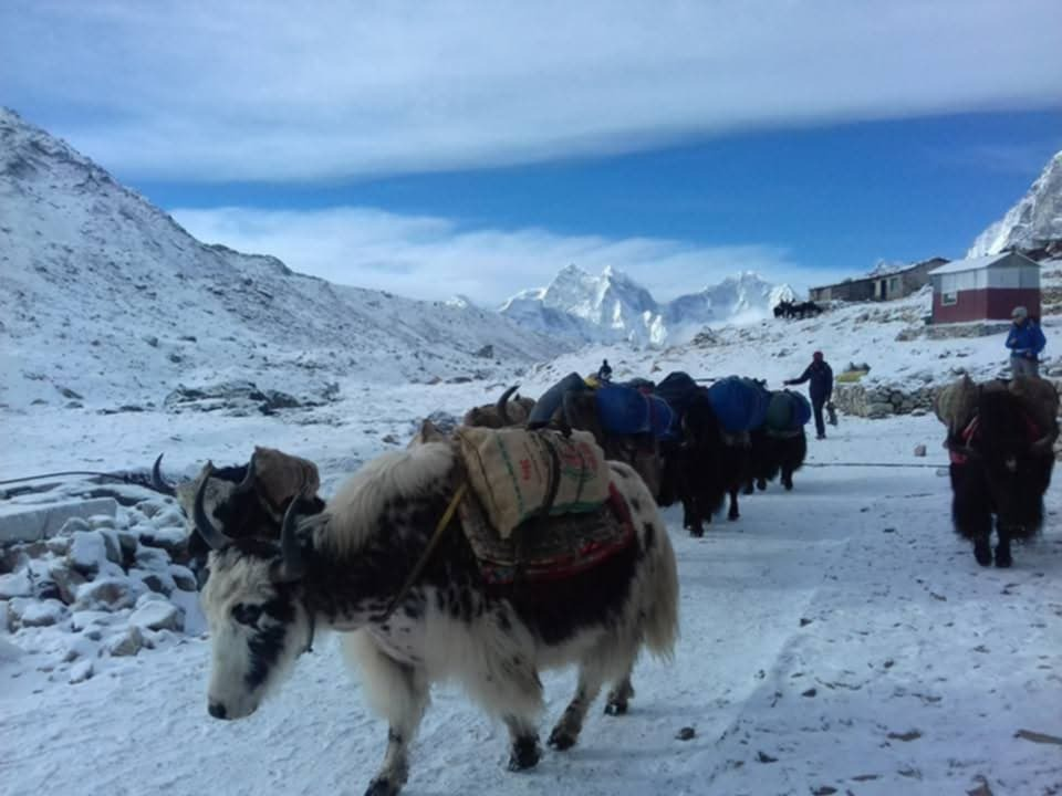 Everest Base Camp Budget Trek- 12 Days.  (TR40)