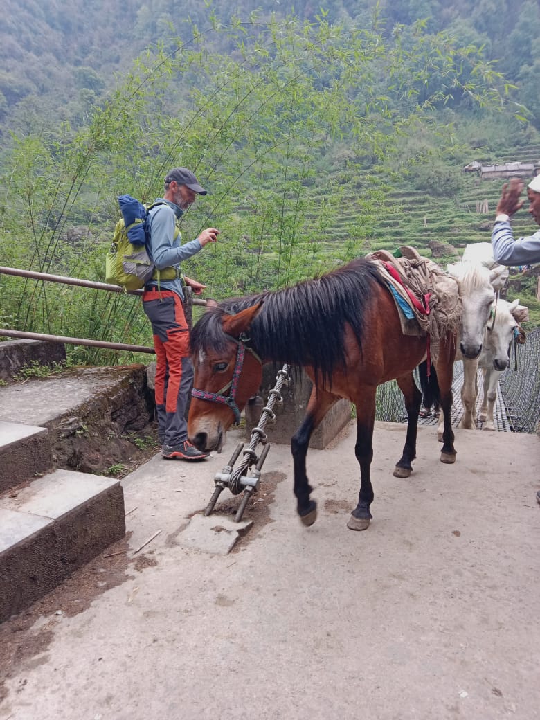 Annapurna South Base Camp short Trek- 5 Days.  (TR41)