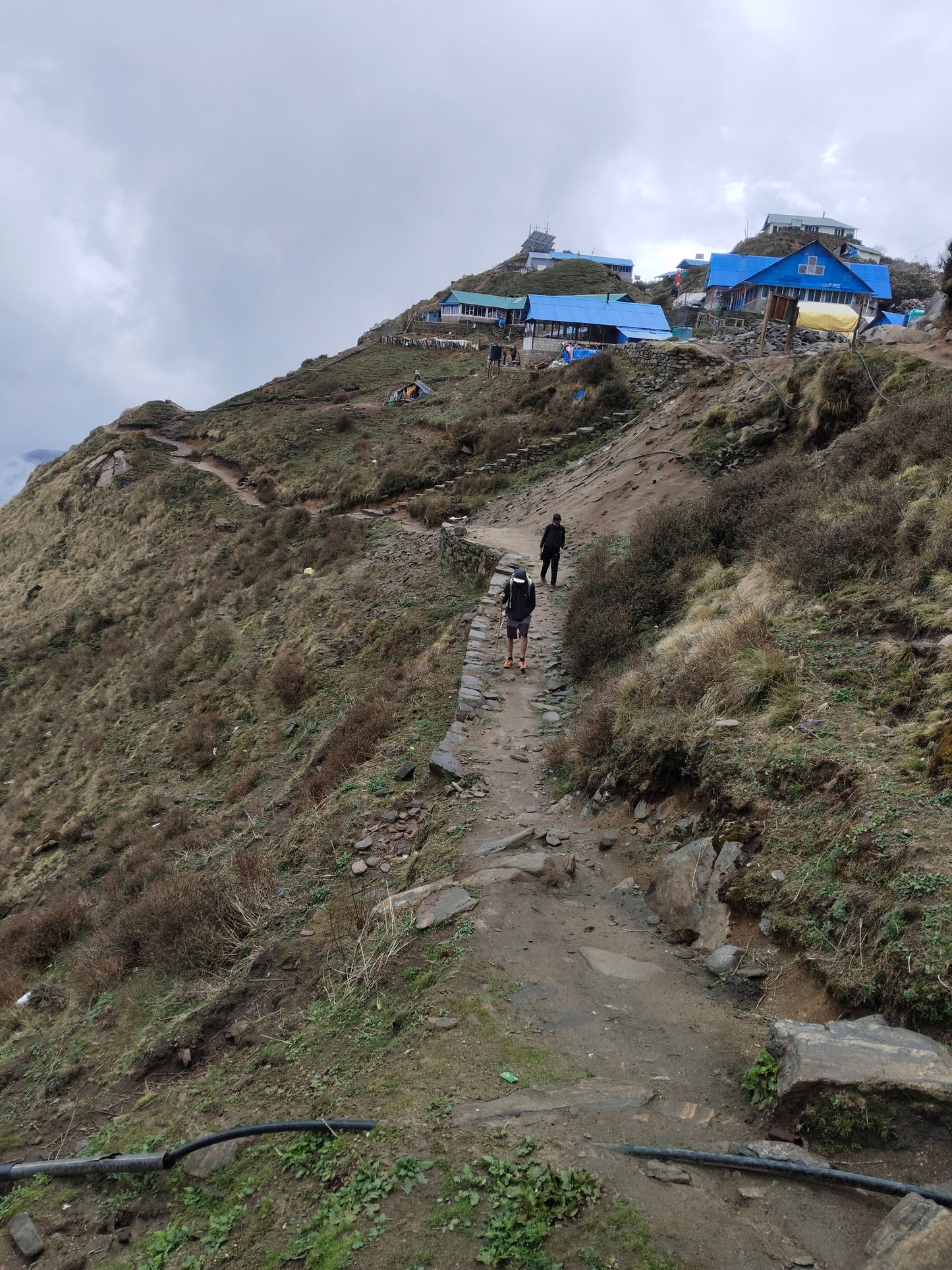 Mardi Himal Budget Trek- 5 Days.  (TR30)